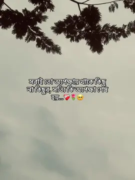 🦋সবাই তো অপেক্ষায় থাকে কিছু না কিছুর, সত্যি কি অপেক্ষা শেষ হয়…❤️‍🩹🌷🥺#creatorsearchinsights #foryoupage #viralvideo#trending #status @TikTok 