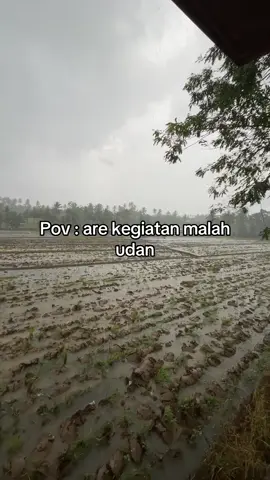 Ora memper 🤣 #fyp #storywa #pringsewu24jam 