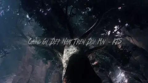 Chang Gi Dep Nhat Tren Doi Mai - KTS#xhhhhhhhhhhhhhhhhhhhhhhh #xhtiktok #xh #xhhhhhhhhhhhhhhhhhhhhhhh