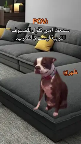 #شعب_الصيني_ماله_حل😂😂 