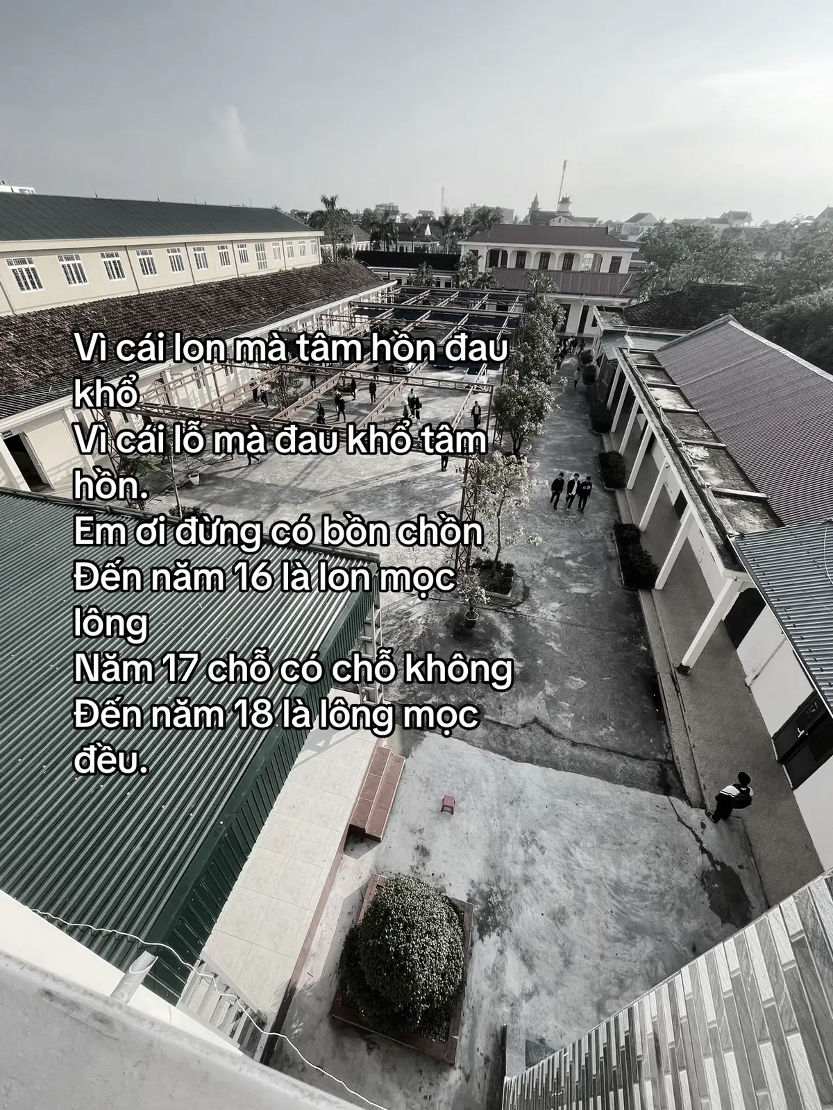 Gà quấn giấy bạc quay trở lại #xh #gaquangiaybac #xhhhhhhhhhhhhhhhhhhhhhhh x#xuhuong #viral 