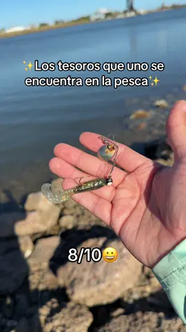 Que an encontrado ustedes an encontrado en la pesca?🎣 ✨#fyp #parati #fishing #fishinglife #pesca 