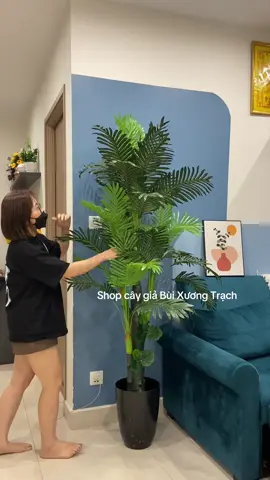 Giờ mình là người lạ,.. #caygia #decor #caydua #xuhuong #trending 