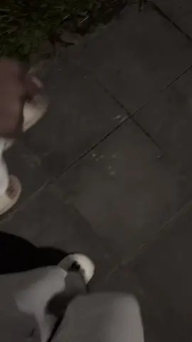 K gi bang to tinh truc tieppp ❤️#tiktok #tinhyeu #totinh #xh 