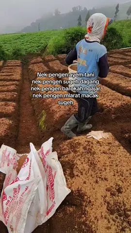 piye ? #CapCut #fyp #petani #batu24jam 