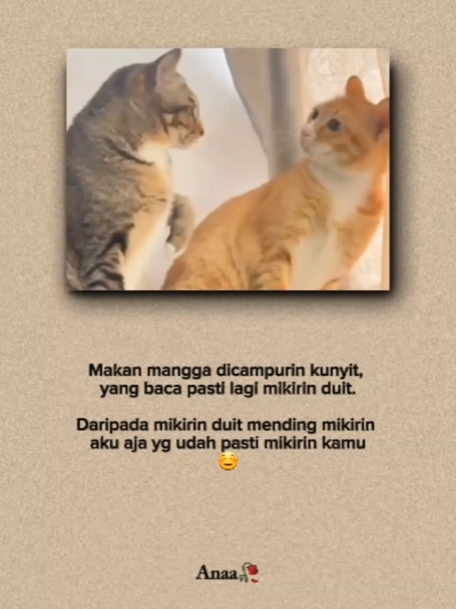 #quoteslucu #kucinglucu #indiasong #foryoupage #xbcyza 