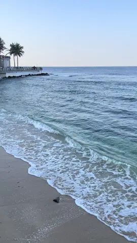 #صباح_الخير #جدة #بحر #كورنيش_جدة #لايك #foryou #تيك_توك #explore #كورنيش #jeddah_city #jeddah #اليوم 