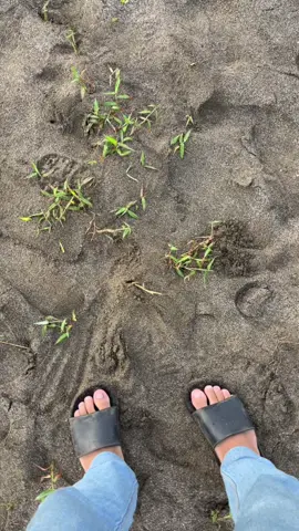 indahnya pantai kebo🌊🍃 #pantaikebo #fyppppppppppppppppppppppp #mentahan #trenggalek #pagihari 