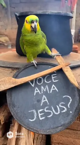 SE VOCÊ AMA JESUS DEIXA O GOSTEI #jesus #papagaio #ia 