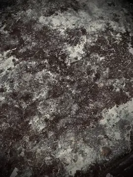 放慢脚步,去发现身边的美好。别总是追逐遥远的事 物而忘记,幸福有时只是心中片刻的宁静。 “Chậm lại một nhịp, để thấy vẻ đẹp quanh ta. Đừng mãi đuổi theo điều xa vời mà quên, hạnh phúc đôi khi chỉ là một giây bình yên trong tim.