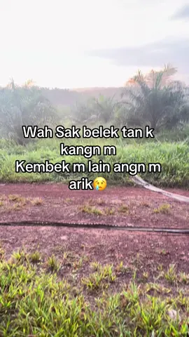 Mule mnu😢#sasaklombok #sasakvirallombok🥀 #padahariini #kulisawitmalaysia🌴🇲🇾🇮🇩 