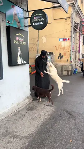 🥹❤️❤️ #tbilisi #foryou #foryoupage 