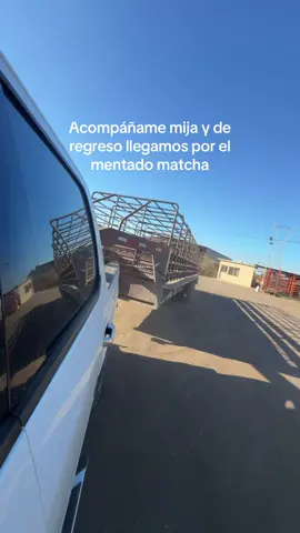 Te de pasto #vaquero #rancho #matcha #fyp #parati 