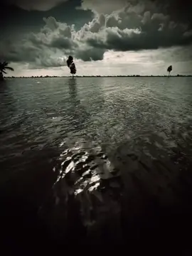 #xuhuongtiktok “想来就来，想走就走。 不怨恶人，只责柽自己不” 