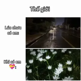 Thế giới trở nên nhiều màu sắc hơn...💖#CapCut #xuhuong #creatorsearchinsights 