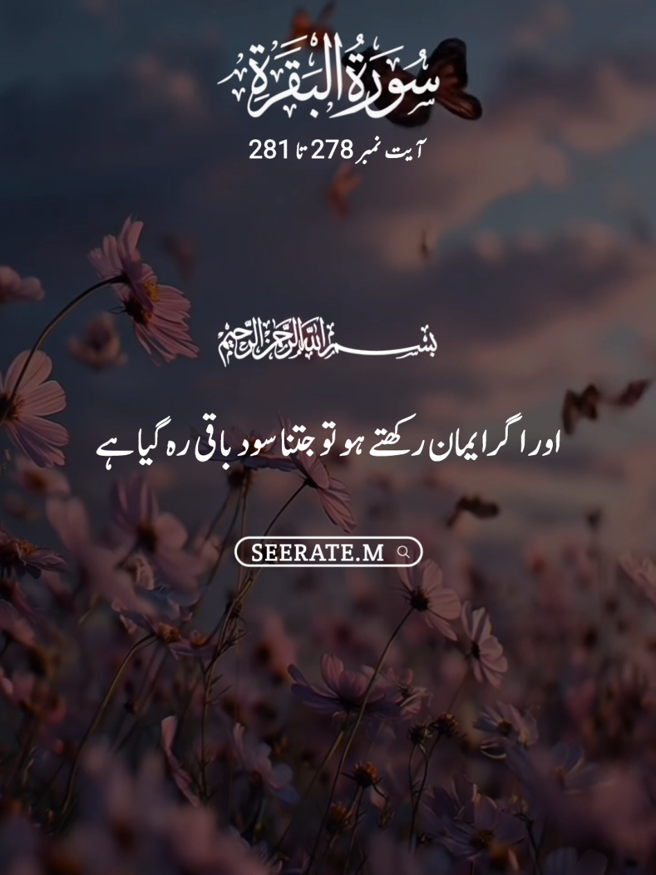 Quran kareem with translation 😍  surat baqra ayat no 278 to 281 #quran #hadees #islam #seerate_m #viral 
