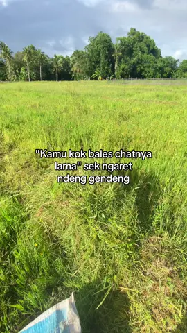 #fyp #sobatngaret #masukberanda #tukangngarit #peternakmuda 