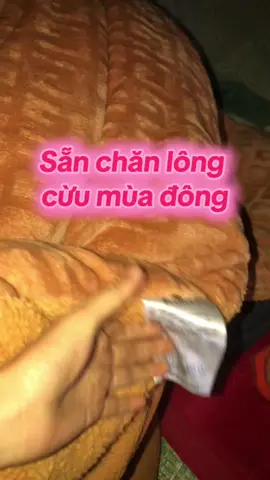 Bao ấm luôn nè🥰#chanlongcuu #xuhuong #tapxaykenh #fypシ゚ 