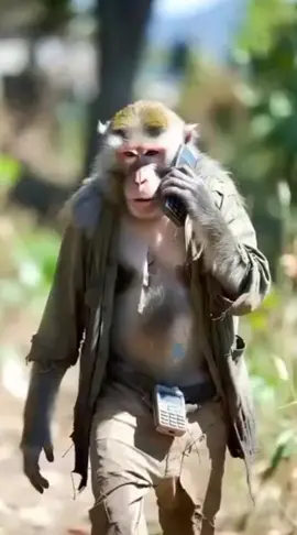 haihước vui nhộn giai trí #monkey #suhuongtittot #@hùng huy@ 