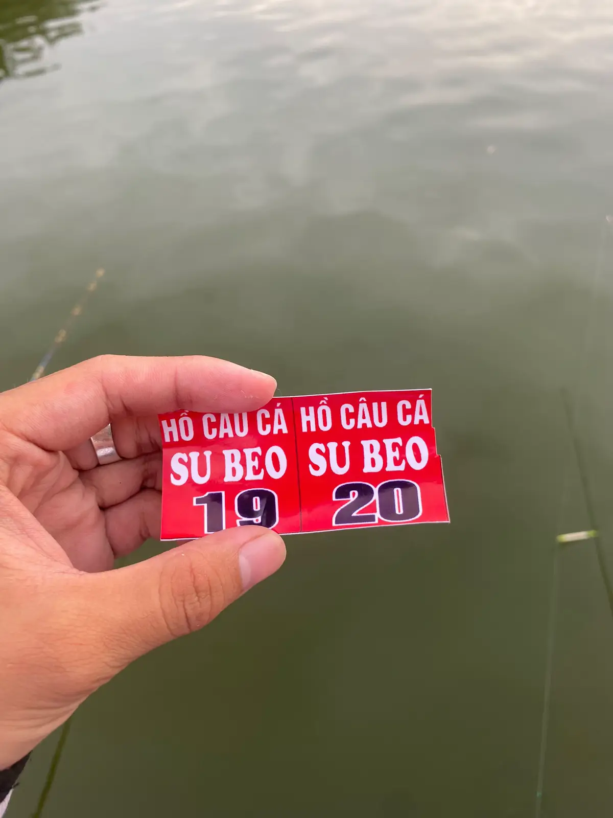 Lần đầu rớt subeo 2 cây 3 xôi 1 nhất 1 xôi nhì 1 xôi 3 cá thì lúp xúp nha mấy #nhungnguoidammecauca #fshing #xuhuong #tre #cauca 