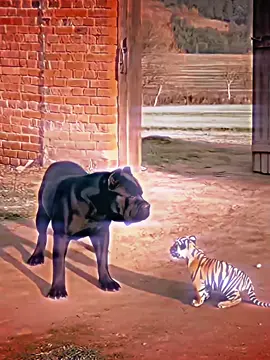 #tyzan__edit1⚡️ #edits #capcut_edit 