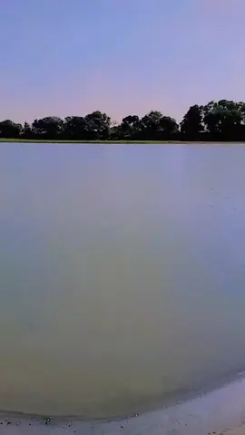 #foryoupage #foryou #Yasir #❤️🥰❤️‍🔥🌅 #viralvideo @💝🔵 Fãrooq Ahmed,🧿 