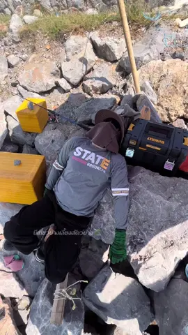 มืงใจหมาหรือป่าวที่จะออกมาใช้ชีวิต  @Mike  #ตกปลา #เเคมป์ปิ้ง #ตกปลาทะเล #ลมหนาว #ใช้ชีวิตให้มีความสุข 