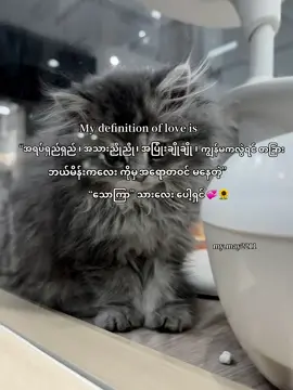 သောကြာသားလေးပေါ့💞🌻#trend #fpy #foryou #မောင့်ကိုကြူးမယ်🤭💗 