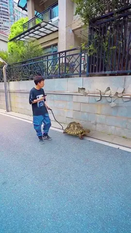 😱😱😱#🇺🇸🇺🇸🇺🇸🇺🇸 #10millionviews #usatiktok #usa_tiktok 