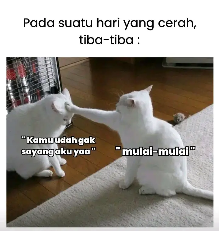 #fypp #xyzbca #foryoupage 