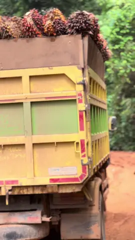 pesona jlan profinsi kalbar #storytrukkalimantan 