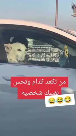 #الشعب_الصيني_ماله_حل 