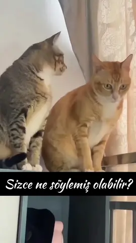 sizce ne söyledi 😂😂😂 #komedialemi #komedi #mi̇zah #funny #şaka 