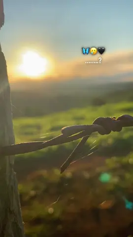 #เปิดการมองเห็น #ขื้นฟีดเถอะ #ตามจังหวะ #กดใจให้หน่อย #ข่าวtiktok 