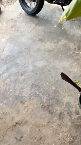 #fyp #supermoto #supermotoganteng #jokcrfbusatinggi 