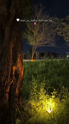 #چا_وگتيش_يبعد_أبوي😓🤏🏾.  #شعراء_وذواقين_الشعر_الشعبي🎸 #عباره_تناسب_الڤيديو_🎥🎞️ #عباراتكممم؟؟ 