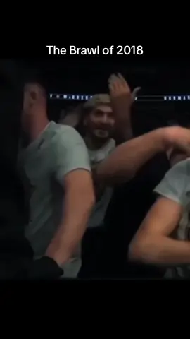 Dillon Danis is the center of every brawl.😂 #fyp #dillondanis #khabibnurmagomedov #UFC #mma 