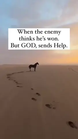 #duet with @Godspeed Luna 🧘‍♀️❤️‍🔥🪽⚔️🛡 #onthisday #divinelyguided✨ #divinelyprotected #loveisalwaystheanswer 