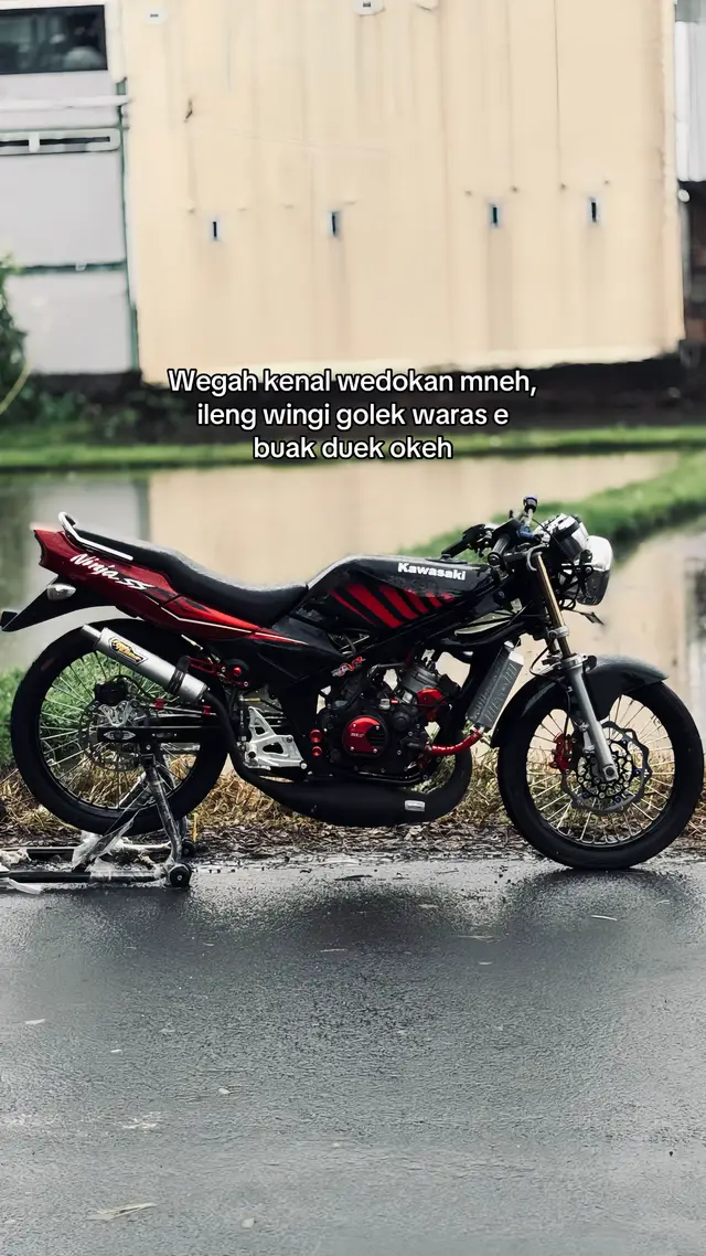 #ninjasunmory #ninja155framestd 