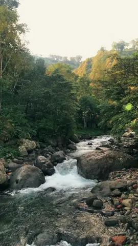 Lagi dan lagi kahayya  #kahayyadonggia #bulukumba_sulawesiselatan #fyp 