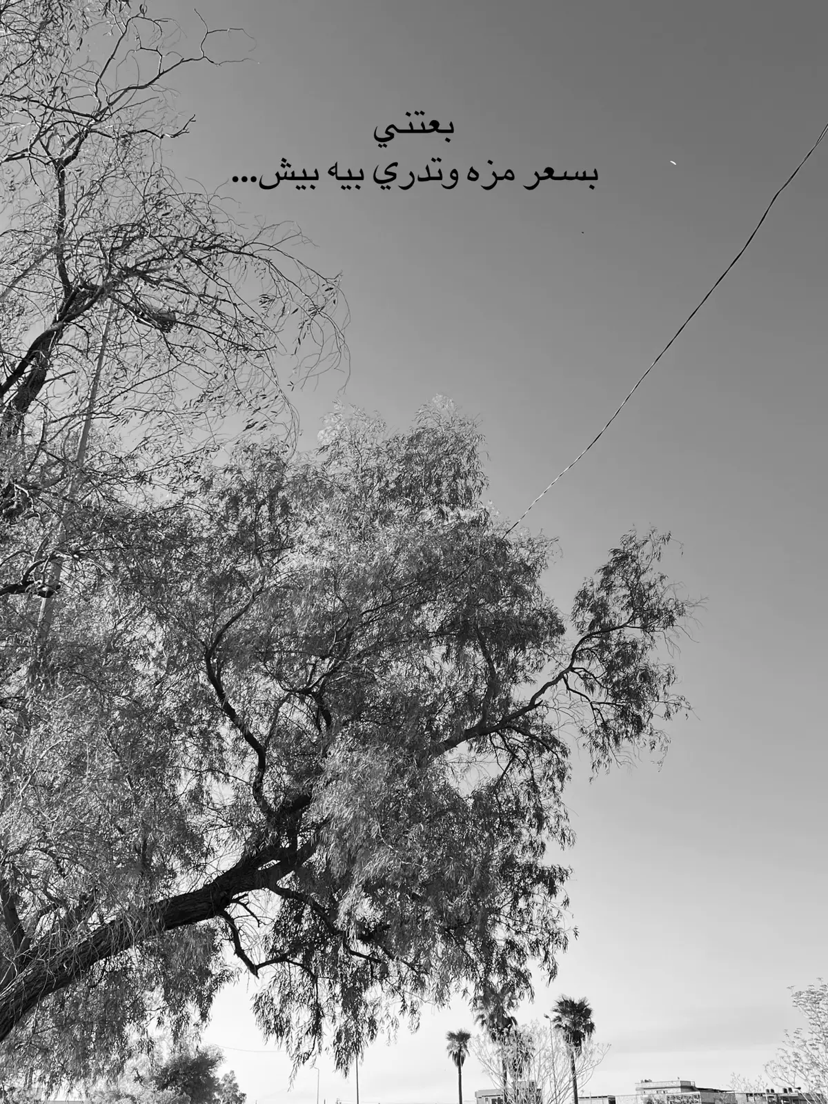 #كريم_منصور #جبار_رشيد #موال #البصرة #ppppppppppppppppppppppp 