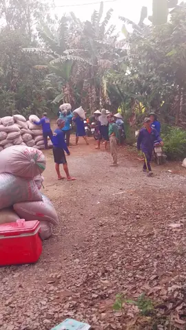 cong don huỳnh nắng..1 đội hình  triệu đô 