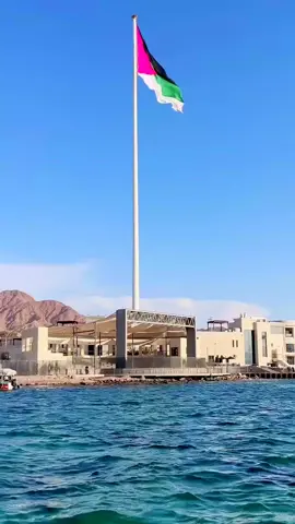 #ابوريان٢٠٢٥ #العقبة 