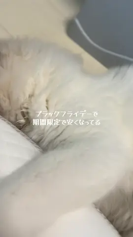 このプロジェクターは大丈夫なのだろうか　不安しかない