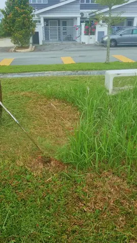 Grass Cutting ASMR Experience#grasscutting, #asmr, #satisfying, #lawncare, #oddlysatisfying@SB418 @𝐺𝑟𝑎𝑠𝑠 𝑐𝑢𝑡𝑡𝑖𝑛𝑔 