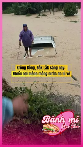 Krông Bông, Đắk Lắk sáng nay: Nhiều nơi mênh mông nước do lũ về Sáng 17/11, nhiều khu vực như Yang Mao, Krông Bông ghi nhận mưa to đến rất to từ đêm 16/11, khiến nước sông suối dâng cao và nhiều đoạn bị ngập sâu.   • Lượng mưa đo tại Yang Mao vượt 300 mm, nhiều tuyến đường bị chia cắt, nhà dân vùng trũng bị ngập gần 2 m.   • Trên tuyến Quốc lộ 29 đoạn qua xã Đức Bình ngập khoảng 200 m, sâu hơn 1 m, phương tiện không thể lưu thông.   • Lực lượng chức năng đã chốt chặn nhiều điểm nguy hiểm, lập phương án sơ tán dân và yêu cầu các hồ đập tăng cường kiểm soát.   • Cơ quan khí tượng thủy văn cảnh báo nguy cơ rất cao xảy ra lũ quét, sạt lở đất ở khu vực đồi núi, ngập vùng trũng thấp trong 6-12 giờ tới.   👉 Khuyến cáo cho người dân: Hạn chế di chuyển qua ngầm tràn, ven sông suối hoặc vùng đồi núi; nếu thấy dấu hiệu sạt lở hoặc nước dâng nhanh thì nhanh chóng di chuyển tới nơi an toàn. #banh#banhmidocbaoL#ĐắkLắk #mưa#ngập#ngậplụto#antoàngiaothông