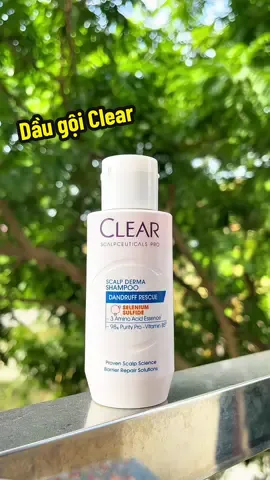 Bác nào gội đầu xong vài tiếng gàu bay trắng áo  dùng ngay dòng dầu gội  Clear sạch gàu  tóc xuôn mượt #daugoi #daugoiclear #nhatomday 