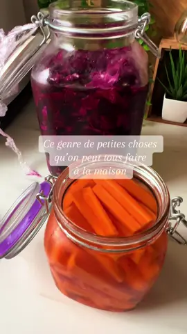 🥒✨ Aujourd’hui j’ai enfin ouvert mes bocaux de pickles : chou rouge et carottes 😍 Pour les préparer : j’ai lavé et coupé les légumes, tout bien serré dans les bocaux 👉 Puis j’ai fait bouillir eau + vinaigre + sel + un peu de sucre pour la saumure. J’ai versé bien chaud sur les légumes, ajouté poivre, ail, laurier… et fermé direct 🔥 Après repos et frigo, voilà le résultat : couleur, croquant et goût au top 🤌💜🧡 #PicklesMaison #ChouRouge #Carottes #FoodTok #realcreator 