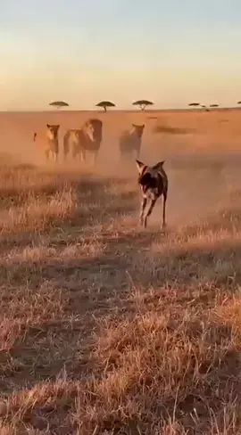 #grownmyaccount✅✅ 