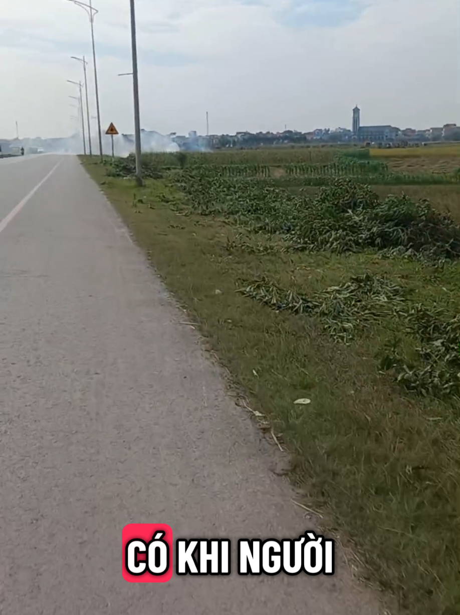 câu chuyện hàng ngày#phươngthao76133 #phattrienbanthan #phattrienbanthan #kimtâmcát 